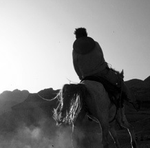 电话验证码轰炸免费